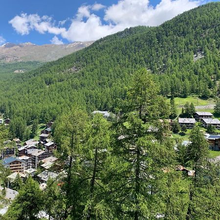 Appartements Zermatt Paradies Εξωτερικό φωτογραφία