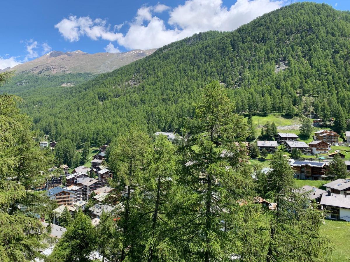 Appartements Zermatt Paradies Εξωτερικό φωτογραφία