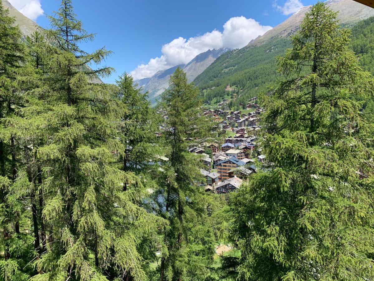 Appartements Zermatt Paradies Εξωτερικό φωτογραφία