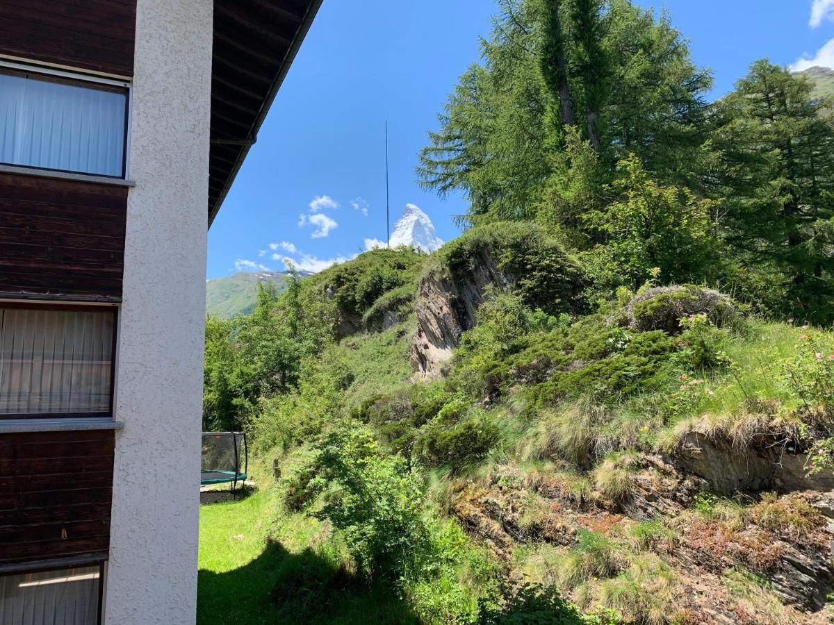 Appartements Zermatt Paradies Εξωτερικό φωτογραφία
