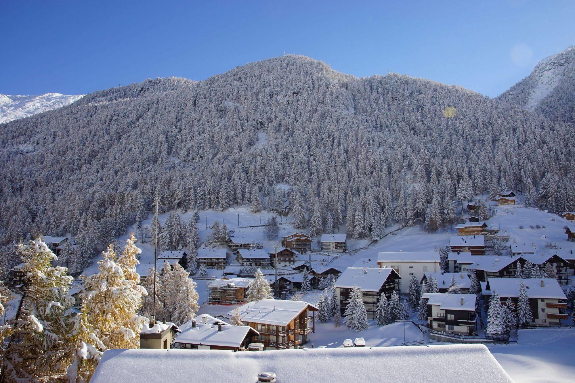 Appartements Zermatt Paradies Εξωτερικό φωτογραφία